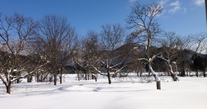 雪景色